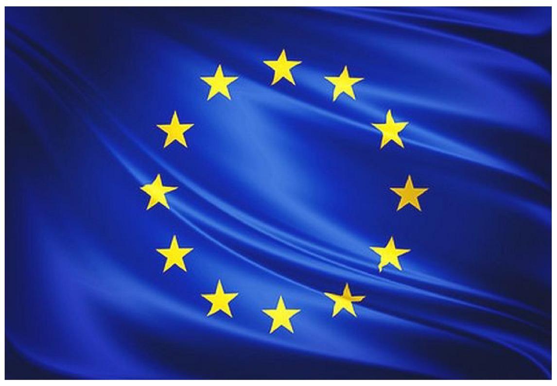 La ciudadanía europea. TEMA: 4. PUNTOS: del 1-5.(sociales)