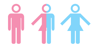 Descomposición De la Personalidad Psíquica-Freud.