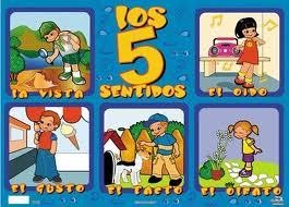 SISTEMA NERVIOSO DE LOS VERTEBRADOS