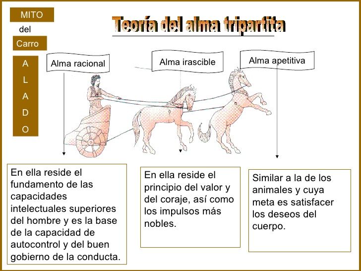 El Contexto Histórico De La Psicología Y El Legado De La Grecia Antigua.