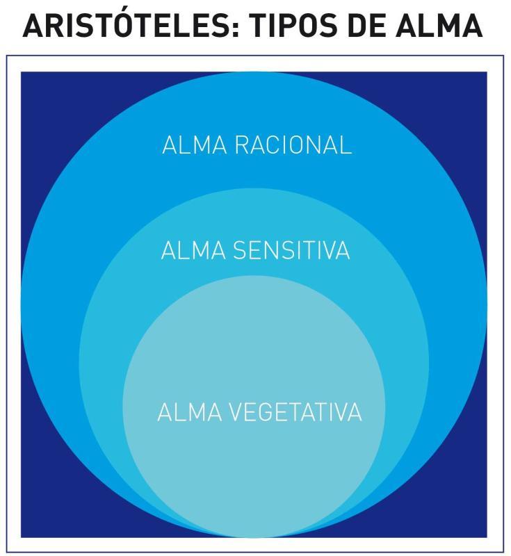 El Contexto Histórico De La Psicología Y El Legado De La Grecia Antigua.