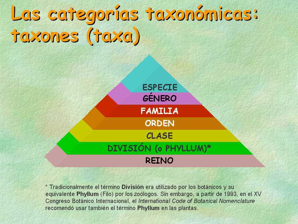 ESTRUCTURA VIRAL DE LOS VIRUS ANIMALES Y VEGETALES SU TAXONOMÍA Y CLASIFICACIÓN.