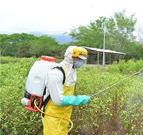 ESTRUCTURA VIRAL DE LOS VIRUS ANIMALES Y VEGETALES SU TAXONOMÍA Y CLASIFICACIÓN.