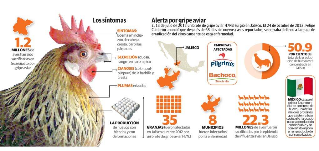 ESTRUCTURA VIRAL DE LOS VIRUS ANIMALES Y VEGETALES SU TAXONOMÍA Y CLASIFICACIÓN.