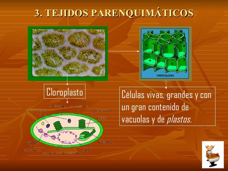 ESTRUCTURA VIRAL DE LOS VIRUS ANIMALES Y VEGETALES SU TAXONOMÍA Y CLASIFICACIÓN.
