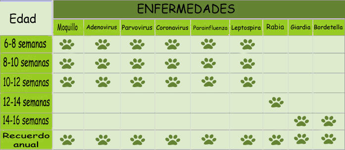 ESTRUCTURA VIRAL DE LOS VIRUS ANIMALES Y VEGETALES SU TAXONOMÍA Y CLASIFICACIÓN.