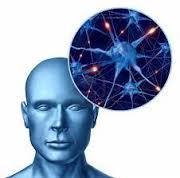 Realidad social: construcción significado y mundo de la vida