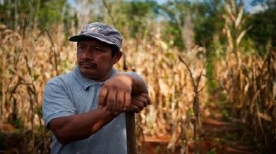 COLOMBIA: CAMPESINOS, REGIMEN HACENDATARIO E INDUSTRIALIZACION