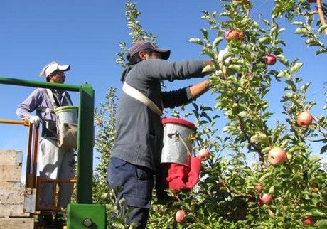 COLOMBIA: CAMPESINOS, REGIMEN HACENDATARIO E INDUSTRIALIZACION