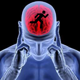 Human Memory
