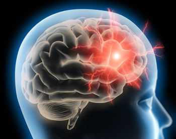 Human Memory