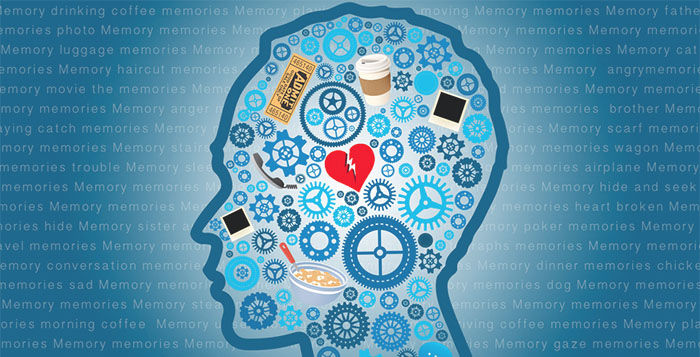 Human Memory