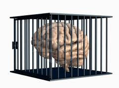 Human Memory