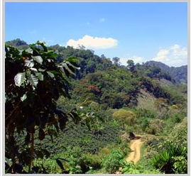 Belleza Natural de Honduras