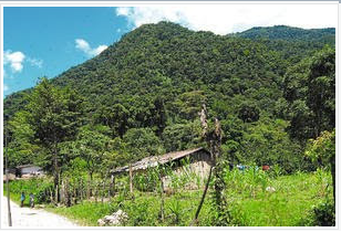 Belleza Natural de Honduras