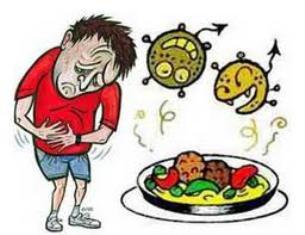 LOS ALIMENTOS POR JULIETH NARANJO