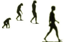 CIENCIAS A FINES DE LAS HUMANIDADES