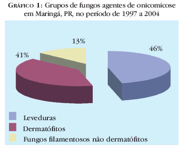 Reino Fungi (Fungos)