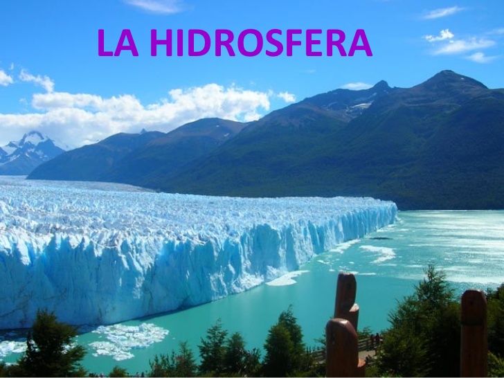 Elementos conceptuales del medio ambiente y componentes ambientales y contaminación