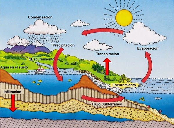 Elementos conceptuales del medio ambiente y componentes ambientales y contaminación