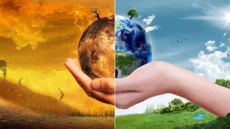 Elementos conceptuales del medio ambiente y componentes ambientales y contaminación