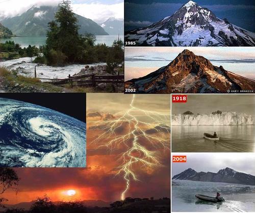 Elementos conceptuales del medio ambiente y componentes ambientales y contaminación