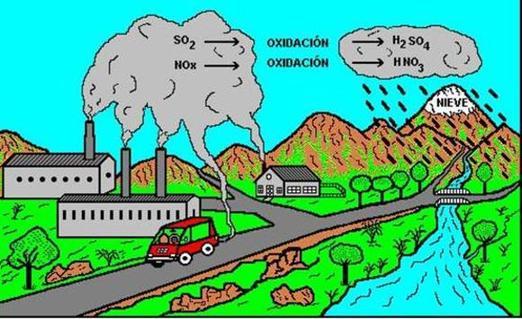 Elementos conceptuales del medio ambiente y componentes ambientales y contaminación