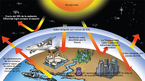 Elementos conceptuales del medio ambiente y componentes ambientales y contaminación