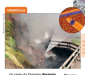 DOMÍNIO dos SERES VIVOS 7 ANO TAXONOMIA