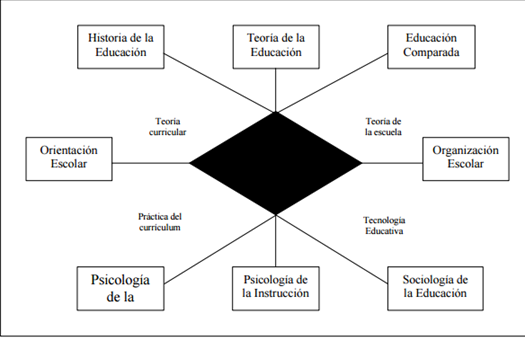 La didáctica en la sociedad del conocimiento y los entornos virtuales de aprendizaje