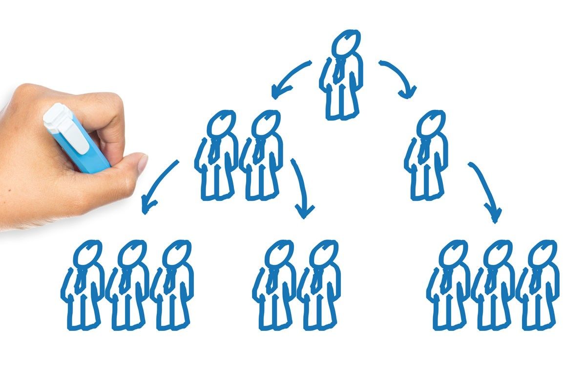 LA ORGANIZACIÓN