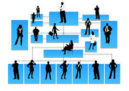 LA ORGANIZACIÓN