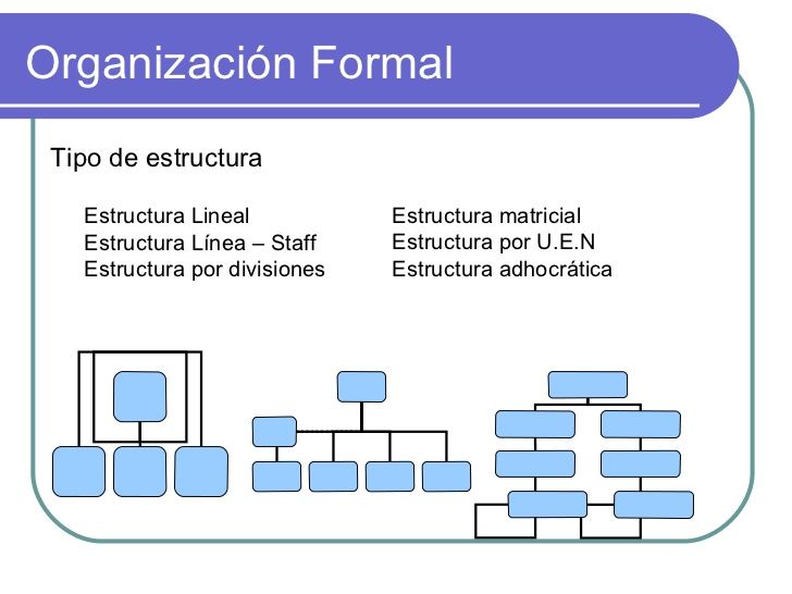 LA ORGANIZACIÓN