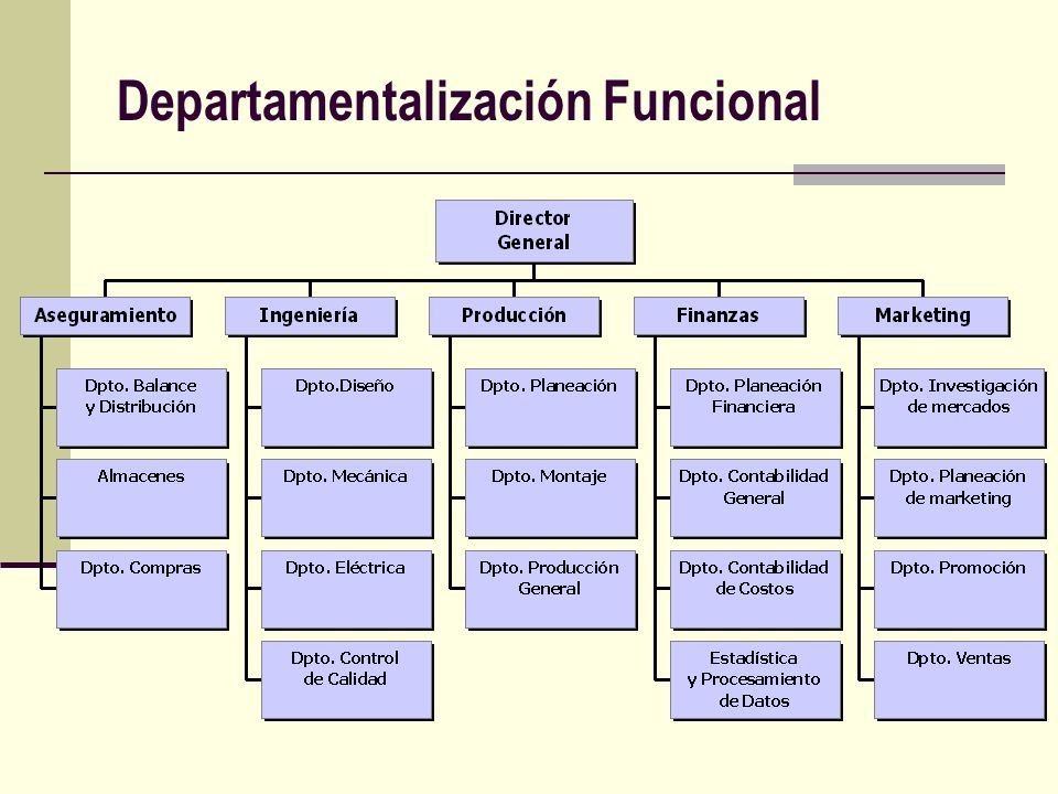 LA ORGANIZACIÓN