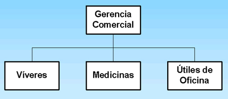 LA ORGANIZACIÓN