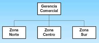 LA ORGANIZACIÓN
