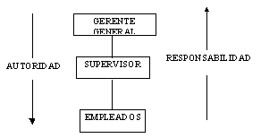 LA ORGANIZACIÓN