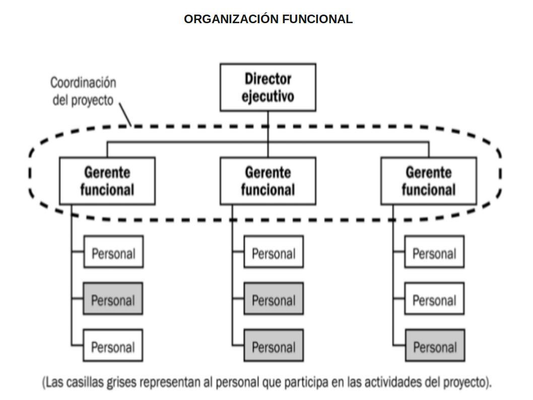 LA ORGANIZACIÓN