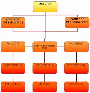 LA ORGANIZACIÓN
