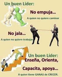 MIS CAPACIDADES DE GUIAR, EVALUAR Y FORMAR SEGUIDORES
