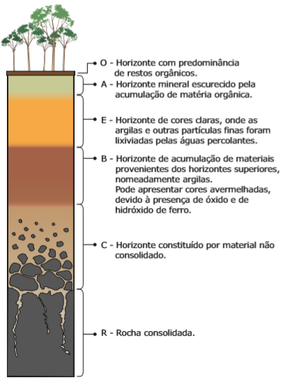 Geo 10.1- Pedologia: Formação e Tipos de Solos