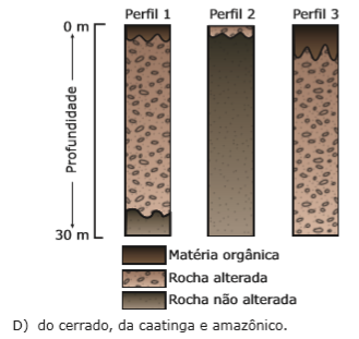 Geo 10.1- Pedologia: Formação e Tipos de Solos