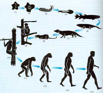 Nacimiento y primerosdesarrollos de la psicología científicaen las Islas Británicas
