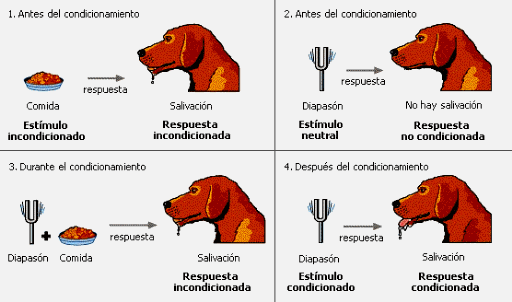 Cadenas de Estimulos y Respuestas