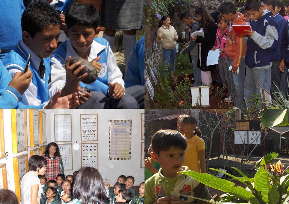 Investigación de Educación Ambiental,