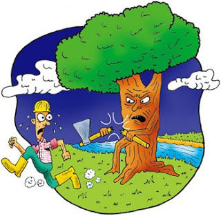 Investigación en Educación Ambiental