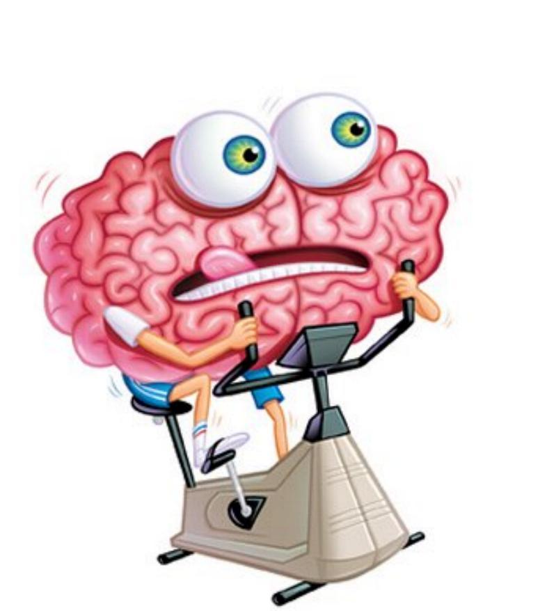 Desarrollo físico y cognitivo de la adultéz emergente y temprana