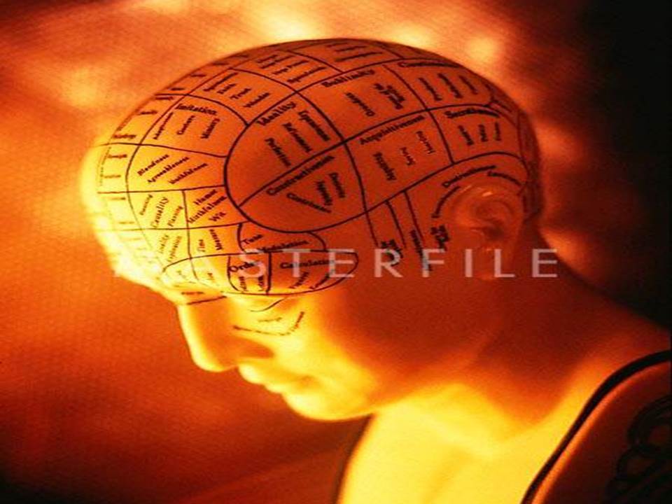 PSICOFISIOLOGIA Ana Milena Motta