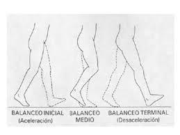 CONCEPTOS BÁSICOS DE LA BIOMECÁNICA DE LA MARCHA