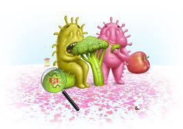 Técnicas de cultivo bacteriano y obtención de cultivos puros